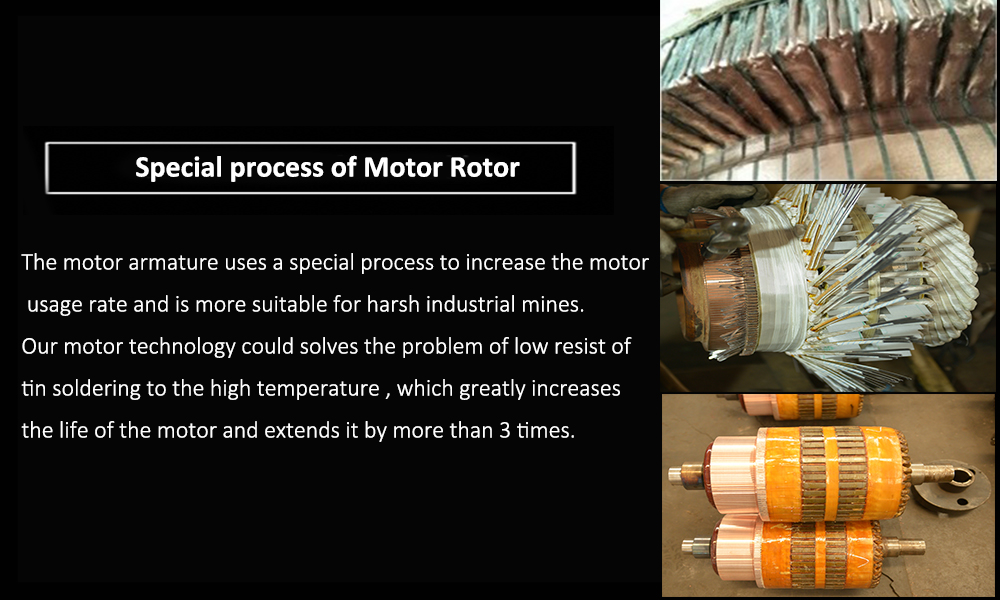 Traction motor(图4)